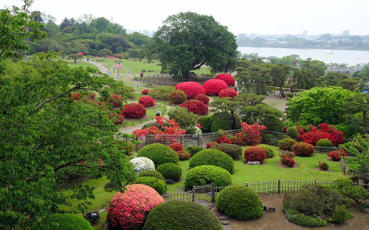 偕楽園 / 茨城県3968486