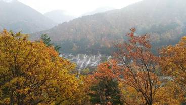 施設の敷地 / 15