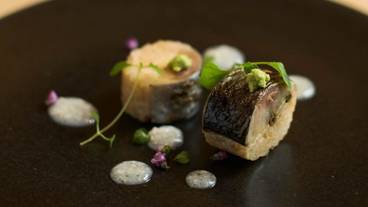 レストラン / 20