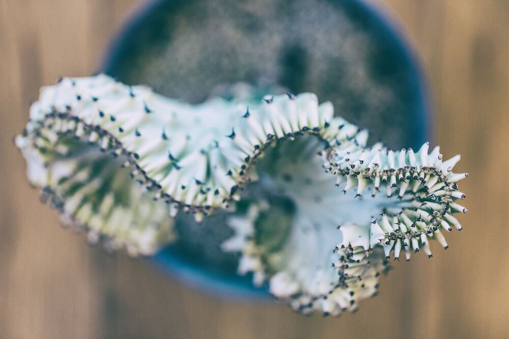 内部エントランス