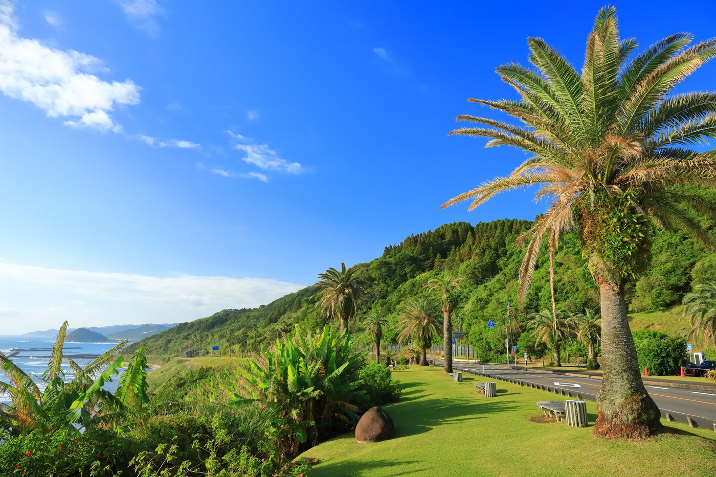 【宮崎県】晴天下の日南海岸(道の駅フェニックス)