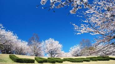 メイン イメージ / 1