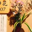 部屋の前に飾られたお花