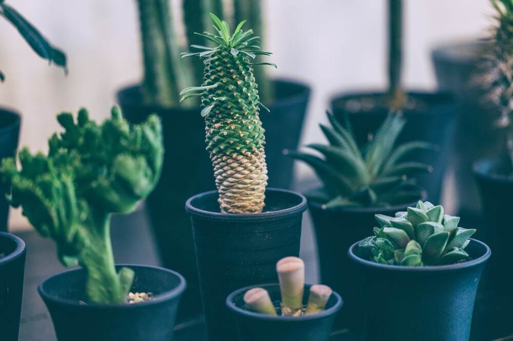 内部エントランス