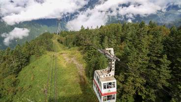 シティ ビュー / 16