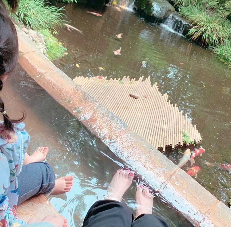 ayustagram.3さんの写真 / 1