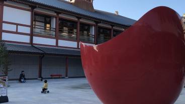 施設の敷地 / 14