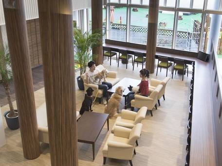 伊豆高原わんわんパラダイスコンドミニアム / 2