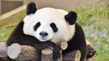 観光スポット / 5