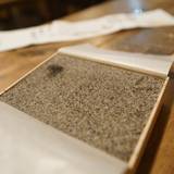  四代 嘉心（ヨンダイカシン）