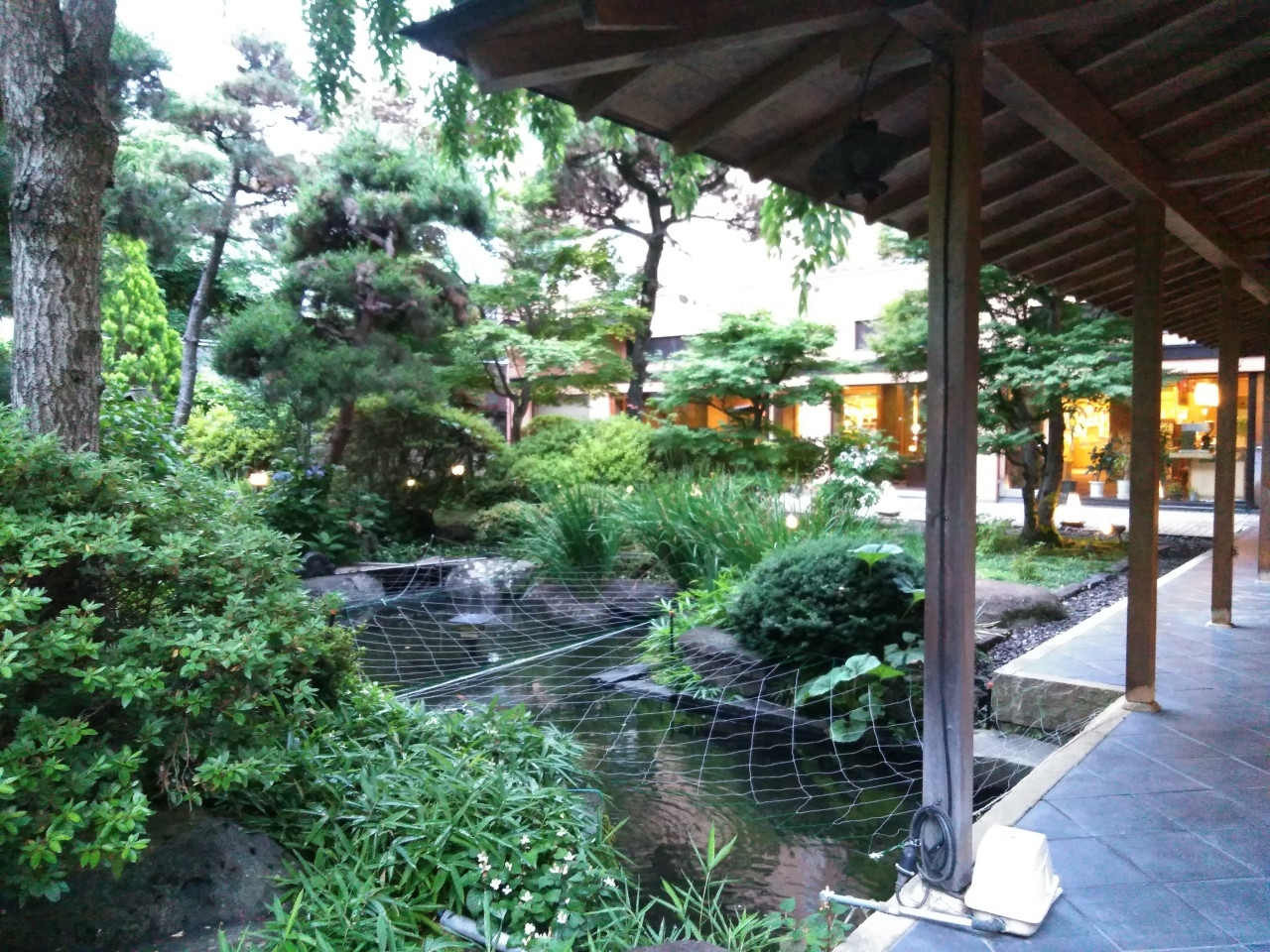 諏訪湖と四季の風景にうっとり♡家族みんなで自然の趣きを感じよう4234898