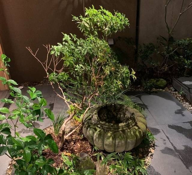 足湯からはじまる
チェックイン / 1