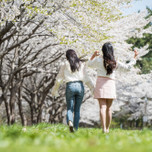 【長岡市】生命力あふれる春こそ旅にでよう。女子旅におすすめの観光スポット6選