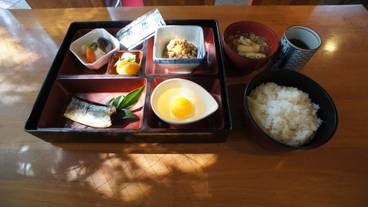 食事・飲み物 / 1