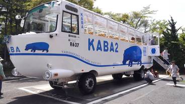 観光スポット / 12