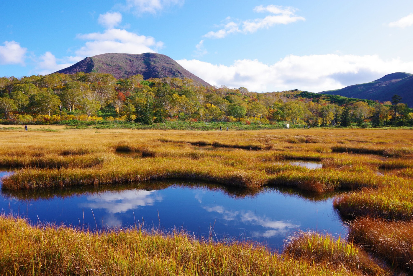 北海道　岩内郡共和町　神仙沼周辺の池塘（ちとう）とチセヌプリ