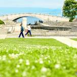 春の横浜でピクニック♪ のんびり過ごせるおすすめの公園＆グルメ7選