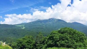施設の敷地 / 11