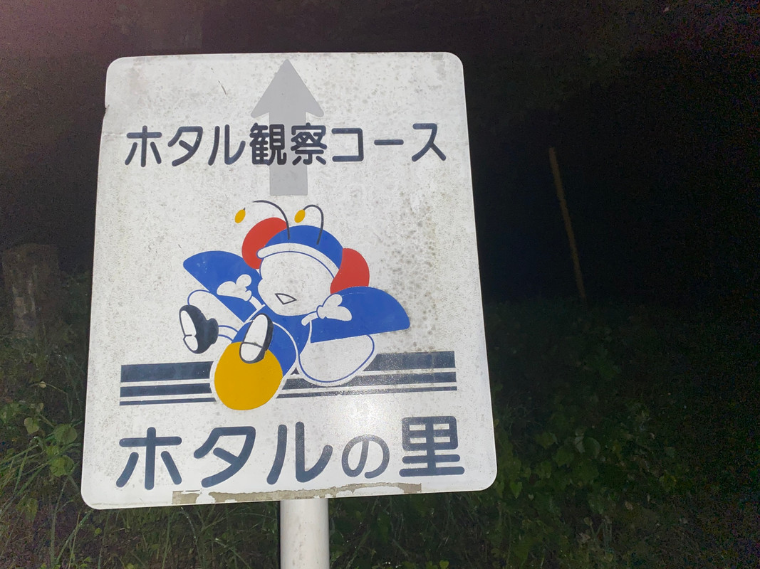 natsumi_imoさんの写真 / 2