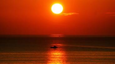 施設からの眺望 / 14