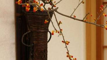 内装の詳細 / 15