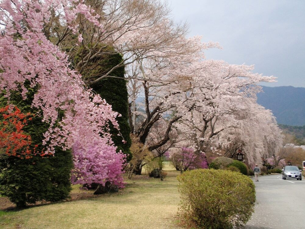 施設からの眺望