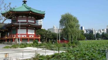 観光スポット / 22