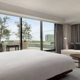 テラスキング / 2