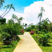 リブマックスアムス カンナリゾートヴィラ（沖縄県 リゾートホテル） / 4