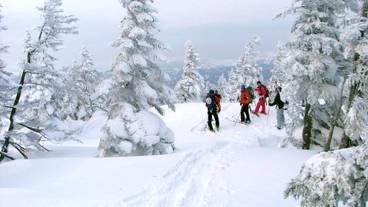 スノー スポーツとスキー / 5