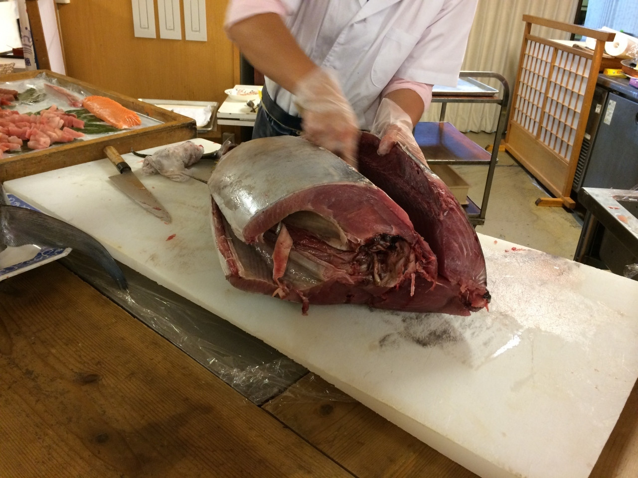 生マグロの水揚げ日本一！那智勝浦の山海の幸に舌鼓717350