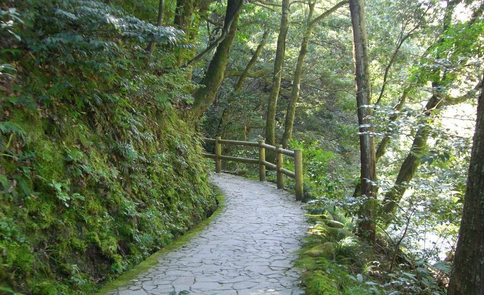 鶴仙渓の遊歩道 / 2
