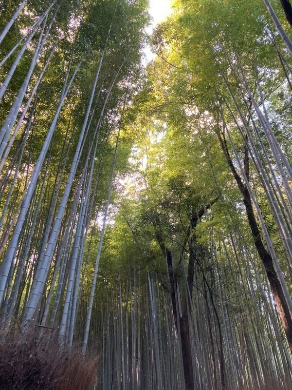 tabi_nikki2525さんの写真 / 3