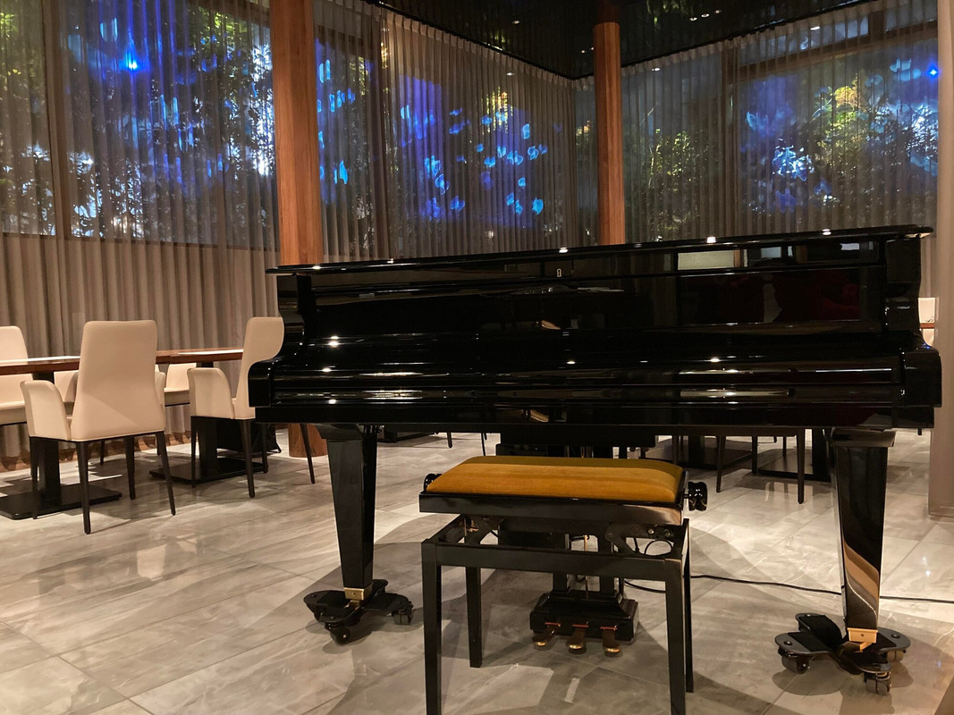 cocomademoisさんの写真 / 5