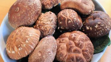 食事・飲み物 / 15