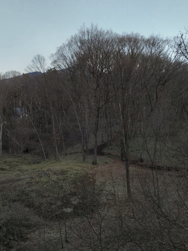 部屋からの眺望