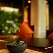 宮之城温泉 手塚ryokan（鹿児島県 旅館） / 2