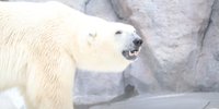 リーズナブルに非日常気分でリフレッシュ♩上野で楽しむ1泊2日の小旅行プラン／東京都