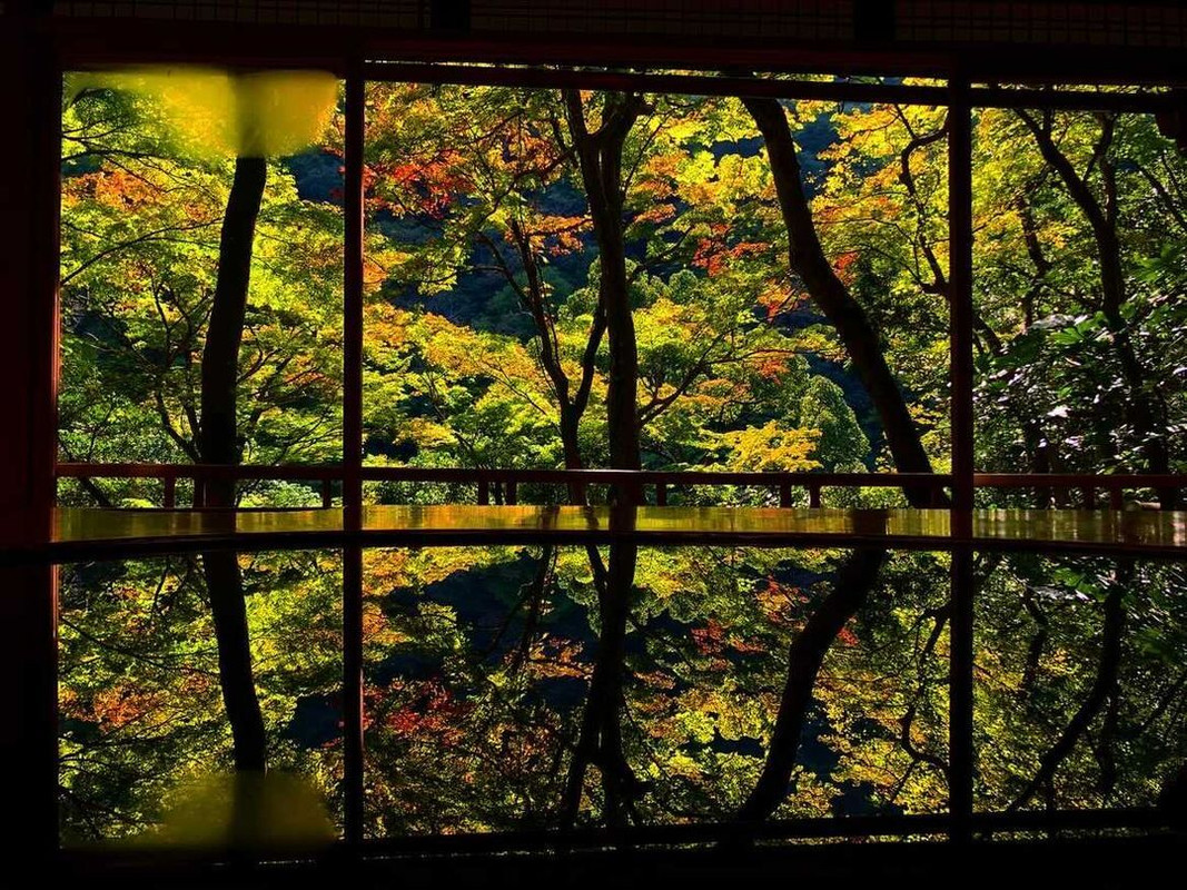 miho._.disneyさんの写真 / 1