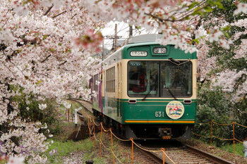 Cherry Blossom Tunnel and Randen