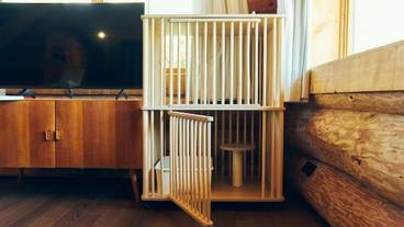 客室の設備とサービス / 30