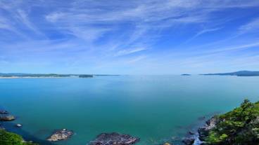 施設からの眺望 / 31