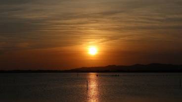 観光スポット / 4