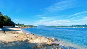 観光スポット / 3