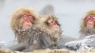 観光スポット / 7