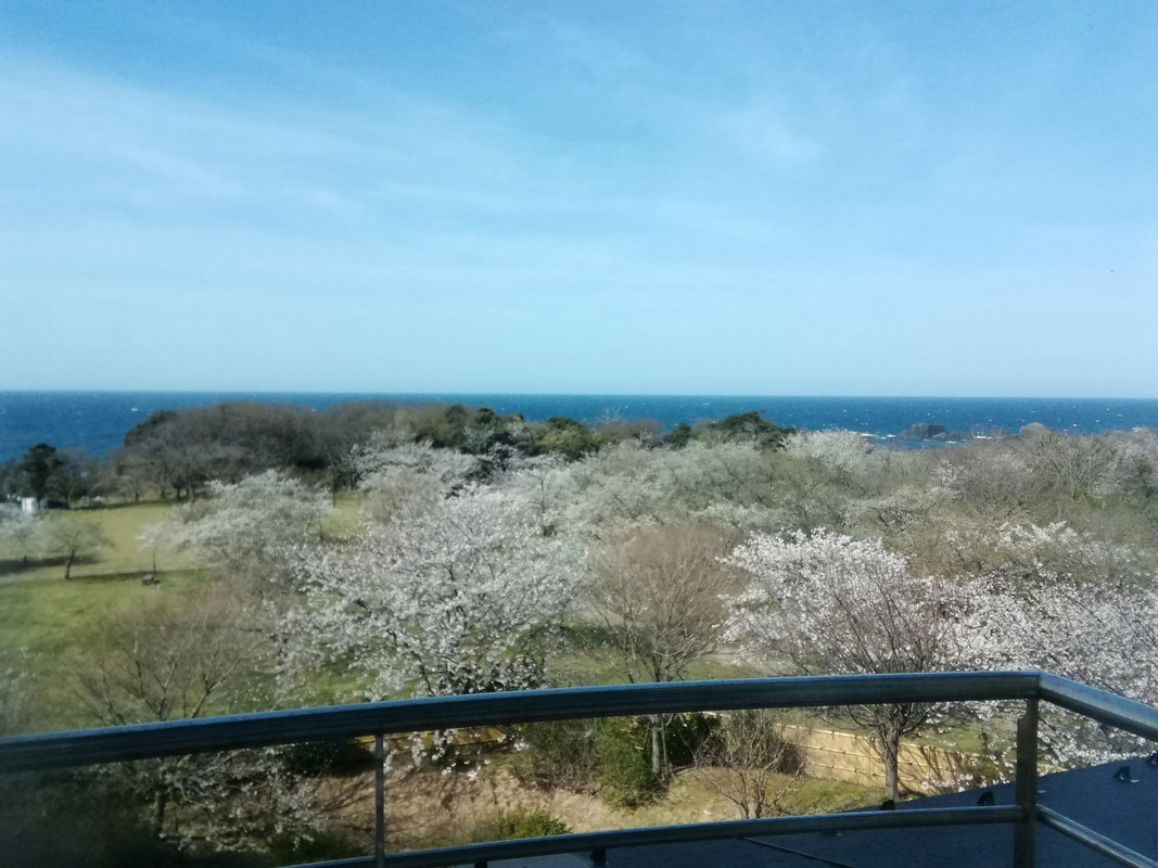部屋からの眺望