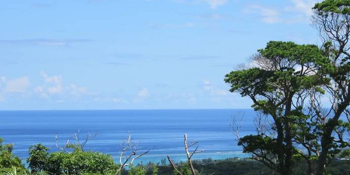 沖縄フリーダム(沖縄県 コテージ・ロッジ・一棟貸) / 1