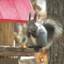 癒しの動物に出会えるホテル＆旅館6選♪珍しい動物もいるかも？【全国】