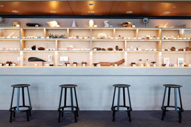 アトリエカフェ　宿泊者限定 / 1