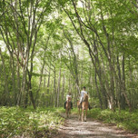 【北関東】体と心を元気に！とびっきりのアクティビティがあるホテル11選